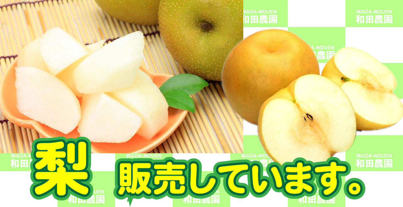 和田農園 イチゴ狩りと有機栽培野菜直売農園