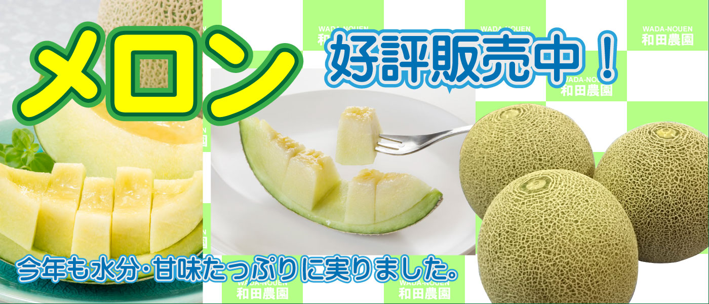2025年度 甘く実ったメロン、好評販売中!